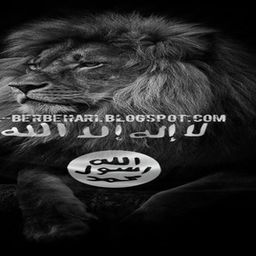 Website preview